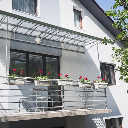 Guest House Sokodream Soko Banja Exterior foto