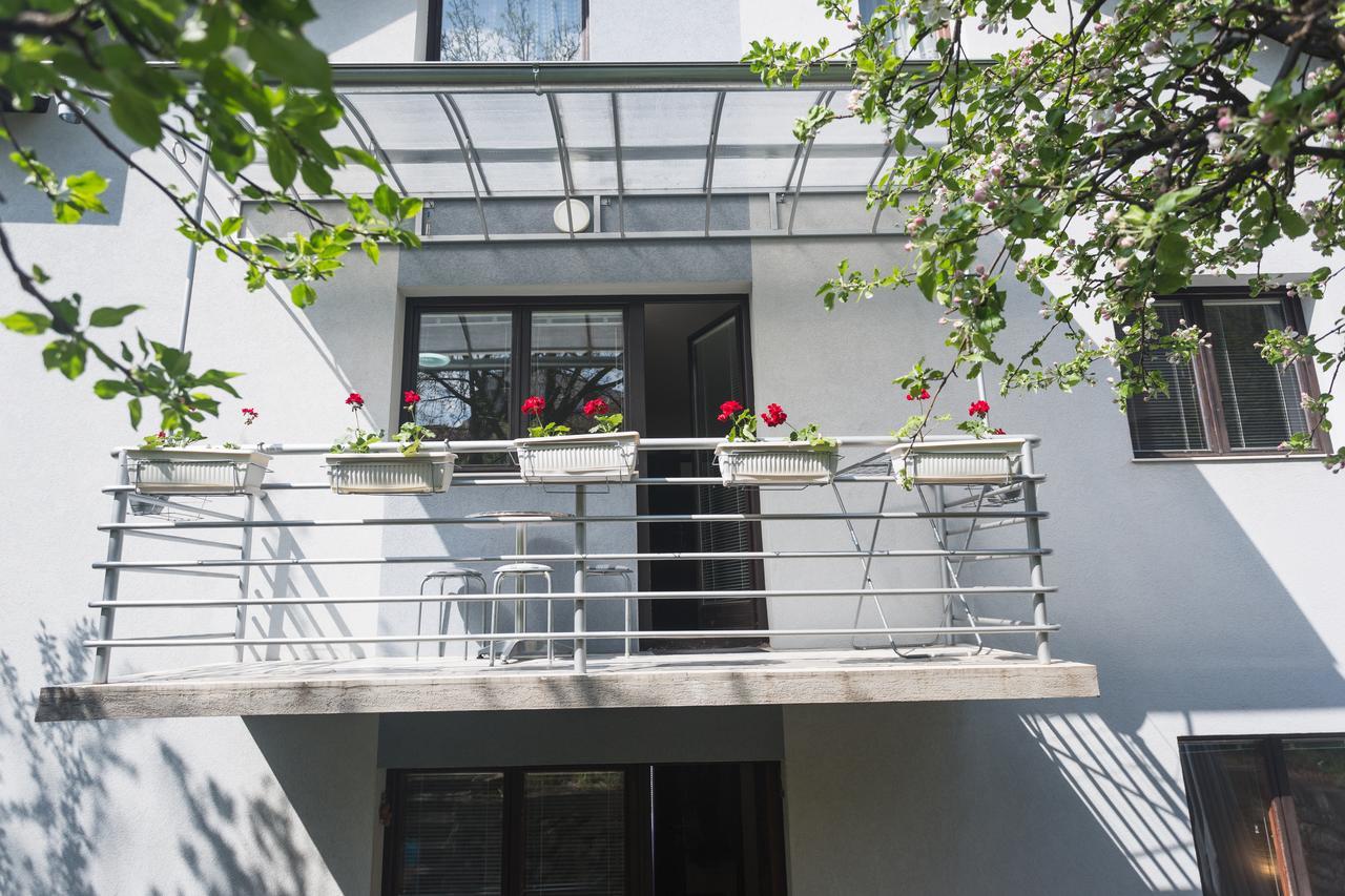 Guest House Sokodream Soko Banja Exterior foto