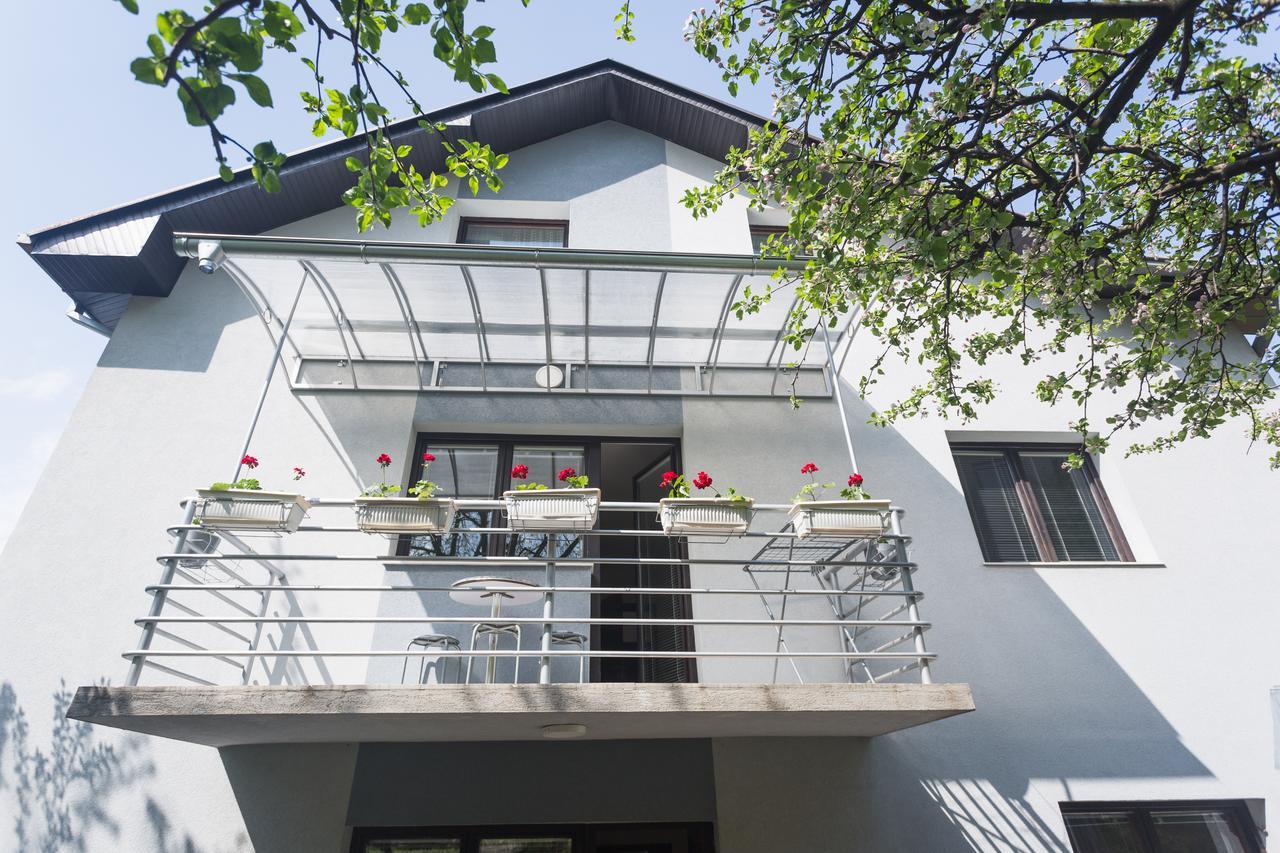 Guest House Sokodream Soko Banja Exterior foto